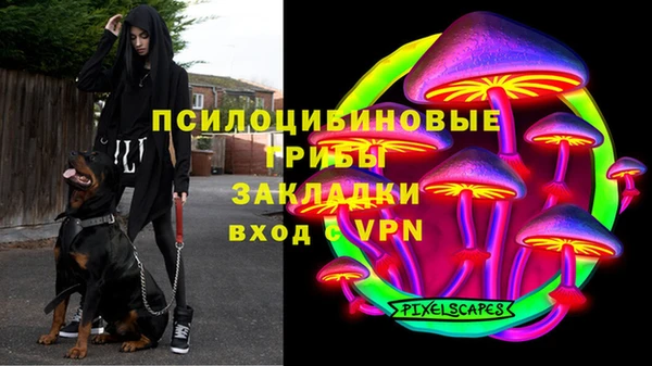 МДПВ Абинск